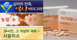 [2005년 10대뉴스⑧]동아 '자이데나' 출시