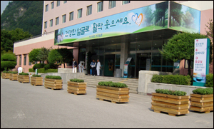 정선병원, 친환경 주제 자체조경 설치