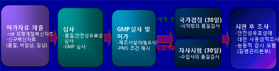 "해외 미허가 백신도 신속심사로 허가단축"