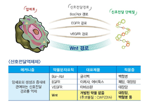 중외제약, Wnt 표적항암제 임상단계 돌입
