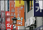'개국약사회' 설립 움직임 가시화…논란 예고