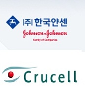 얀센-베르나, 합병 없이 독립 법인으로 운영