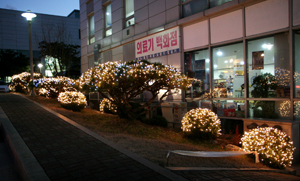 고대구로병원, 크리스마스 트리 점등식
