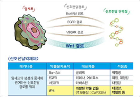 국내 개발 '혁신 항암 신약' 미국 FDA 첫 임상승인