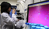 영향평가 없는 잔디깎기식 약가정책은 '진행형'