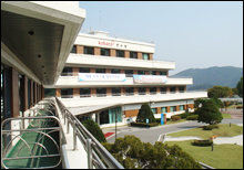 반값약가 정책, 1박2일로 '모습'이 바뀔까?