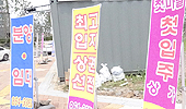"세종행정타운에서 1층약국 개업은 엄두도 못내요"