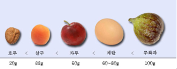 한국 남성 전립선, 5년 전 보다 23.5% 더 커져