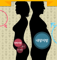 "남·여 뱃살 형태 달라…감량 방법도 다르게"