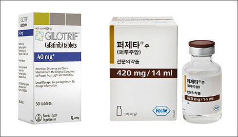 항암제 지오트립, 조건부급여…퍼제타는 문턱 좌절