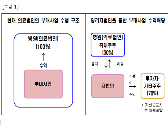 "영리자법인 설립시 흑자병원 4곳 중 1곳 적자 전환"