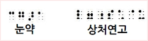 시각장애인 점자 복약지도 스타트…약국 47곳 참여 