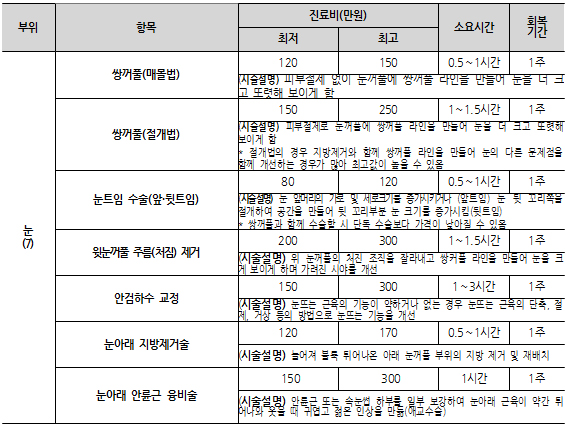 외국인, 한국서 쌍커풀 수술 250만원…코는 800만원