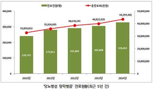 당뇨병성 망막병증, 총진료비 연 463억원…7%씩↑