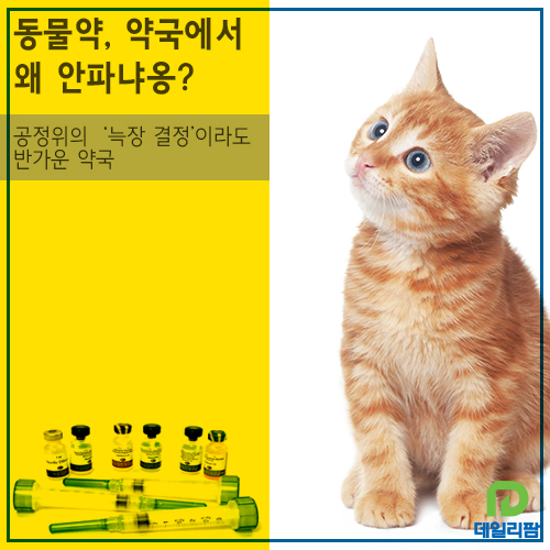 [카드늬우스] "동물약, 왜 약국에서 안파냐옹"