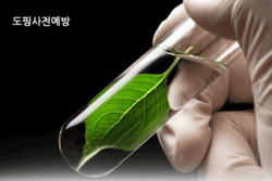 "제2의 박태환 막으려면"…약국 도핑확인 '이렇게'