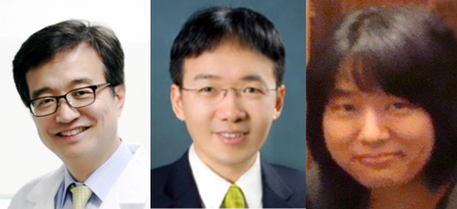 피부노화·자외선 염증 기전 발견…"치료제 개발 진전"