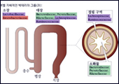 제약, 오바마 마지막 프로젝트 '장내미생물'에 주목