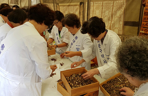 '한의사 처방, 약사는 조제'…축제현장의 한방분업