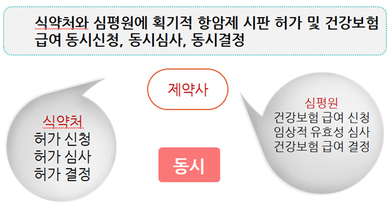 "항암제 환자접근성, RSA론 부족…임시약값제 도입을"