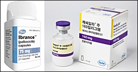 입랜스·캐싸일라 "퍼제타처럼 우리도 급여해 주세요"