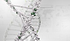 암종 무관…'바이오마커'로 FDA 신약허가 첫 사례
