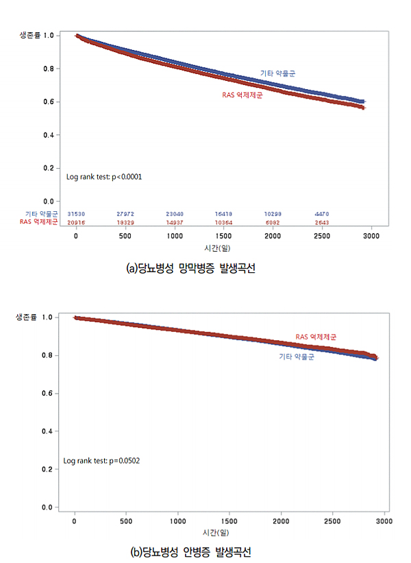 "RAS 억제제, 당뇨 망막병증·안병증 예방에 효과적"