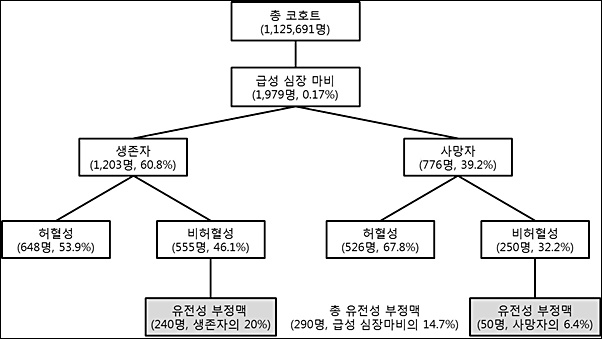 돌연사 일으키는 급성 심장마비도 유전?