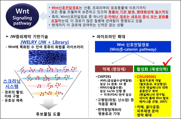 JW중외, 미 대학과 Wnt 활용 탈모신약 공동개발