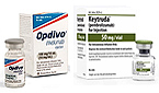 "같은 듯하면서 다르다"…옵디보-키트루다 허가공식