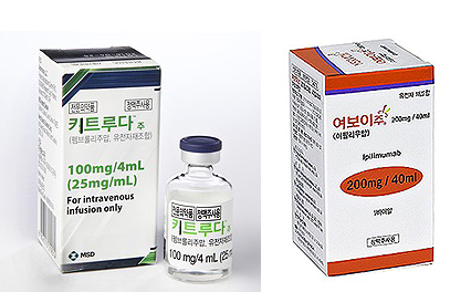 MSD, 비소세포폐암에 '키트루다+여보이' 병용 3상