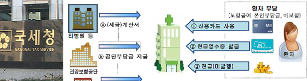 의약사, 탈루유형 보니…현금수입 누락·가공경비 이슈