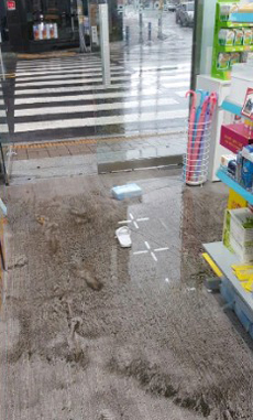"간판부터 점검"…태풍 상륙에 약국도 준비 태세