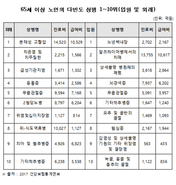 "지난해 노인 1인당 진료비 400만원 돌파…관리 필요"