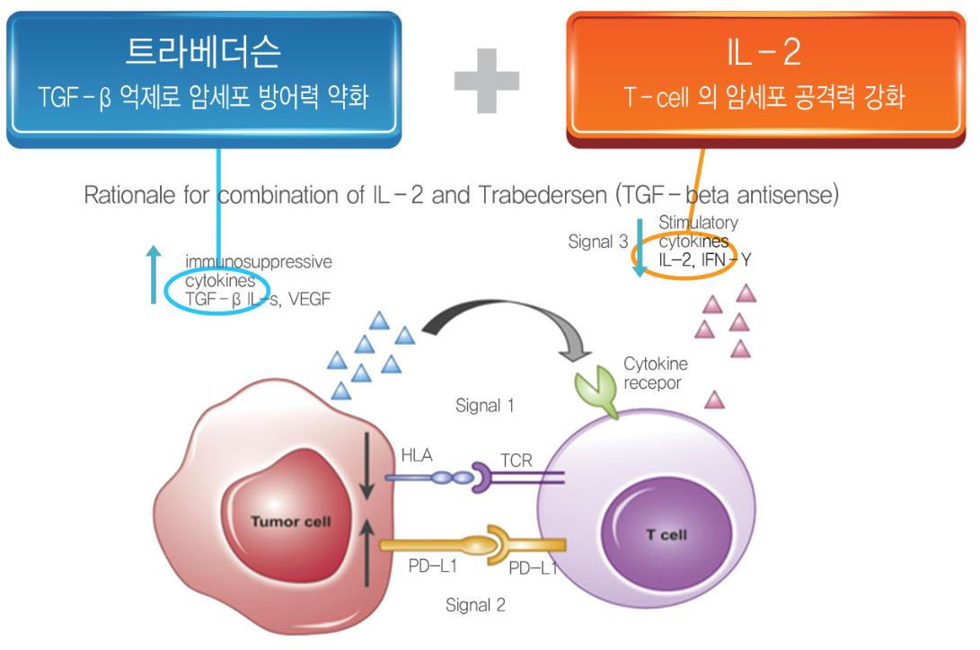 "다양한 병용 가능...면역항암제 방향성 제시" 