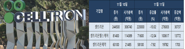 하루새 시총 4조6천억 날린 셀트리온 분식회계 의혹
