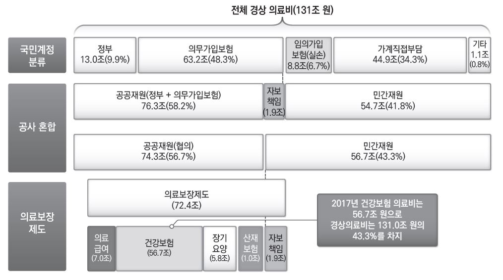 "경상의료비 131조 중 건보 43%…공사보험 연계를"