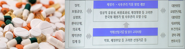 등재약 사후관리, 일반약부터 항암제까지 모두 담았다
