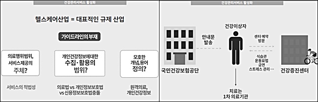"의료-건강관리 구분…제도정비·가이드 신설 시급"
