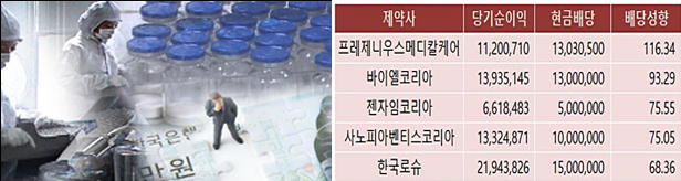 프레제니우스·바이엘, 작년 순익 대부분 본사에 쐈다