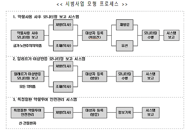 내일부터 DUR 고도화 시범사업…약국도 11곳 참여