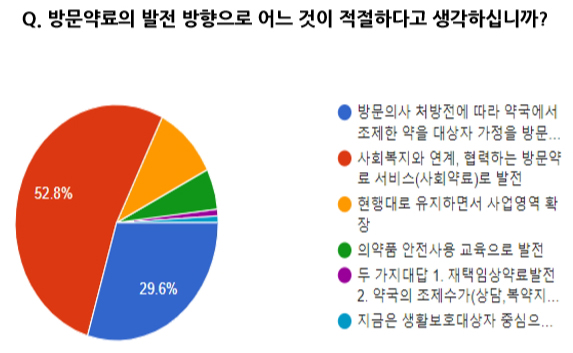"방문약료, 약사+사회복지사 복합모델이 대안"