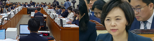 '인보사 국감' 3대 의혹 제기…라니티딘 늑장대응 질책