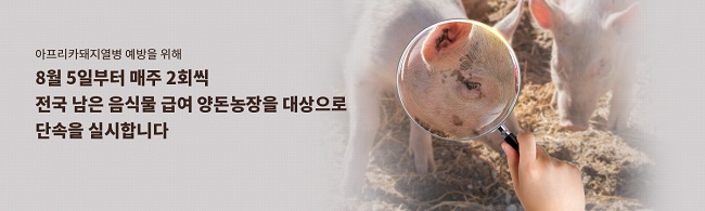 아프리카돼지열병 여파, '헤파린' 원료 공급차질 우려
