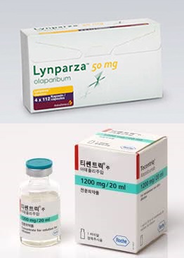 약 없는 '삼중음성 유방암', 표적·면역 항암 옵션추가