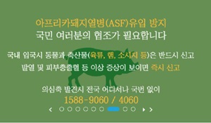 '돼지열병' 의약품 원료에 불똥...제약, 원가상승 고심