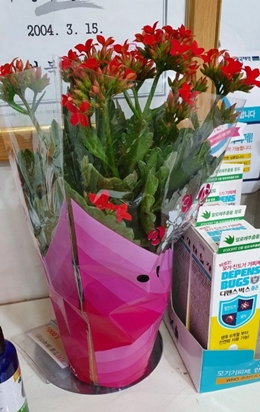 "약사님 마스크 감사해요"...약국에 선물놓고 가는 시민들 