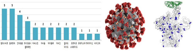'코로나 19' 치료제 글로벌 임상 66건...국내사는 전무