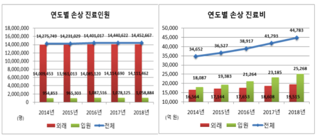 10대는 두경부·사자손상, 80대는 척추·몸통손상 많다