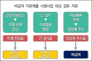 "비급여 자료 제출, 수요 높은 서비스부터 시범사업 필요"